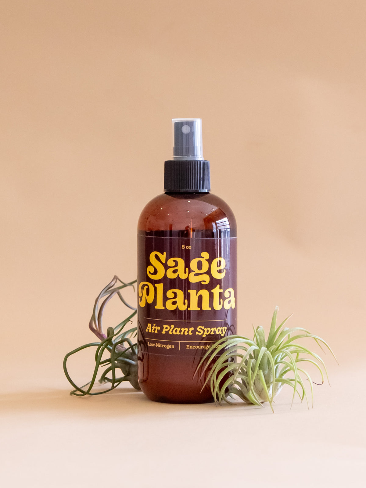 Air Plant Nourishing Spray