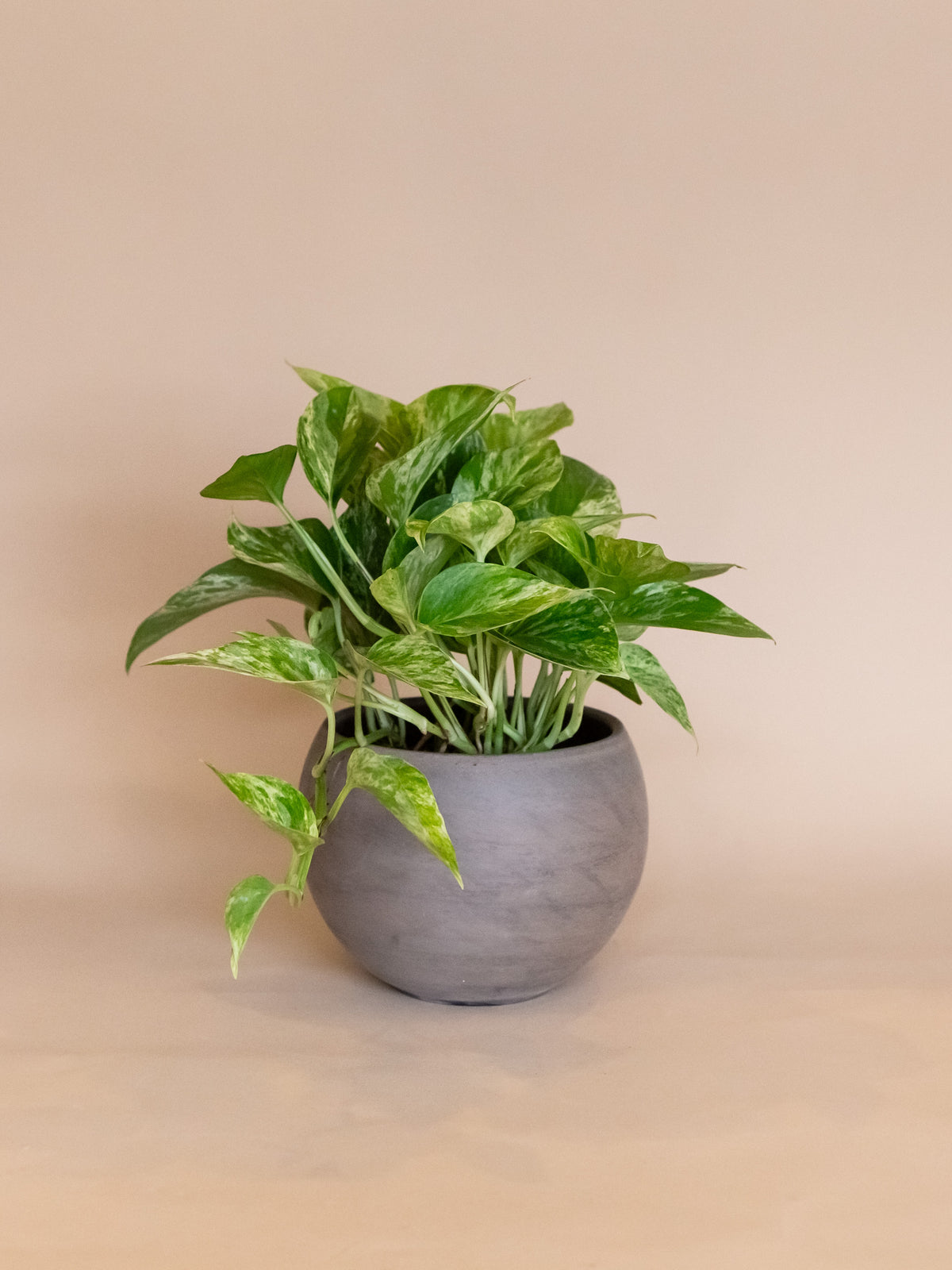 Luna Sphere Planter