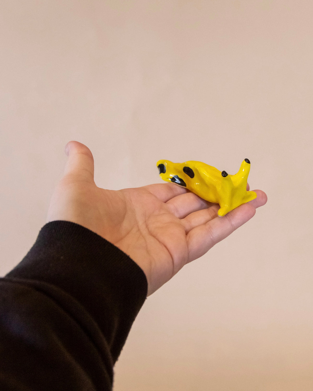 Ceramic Banana Slug