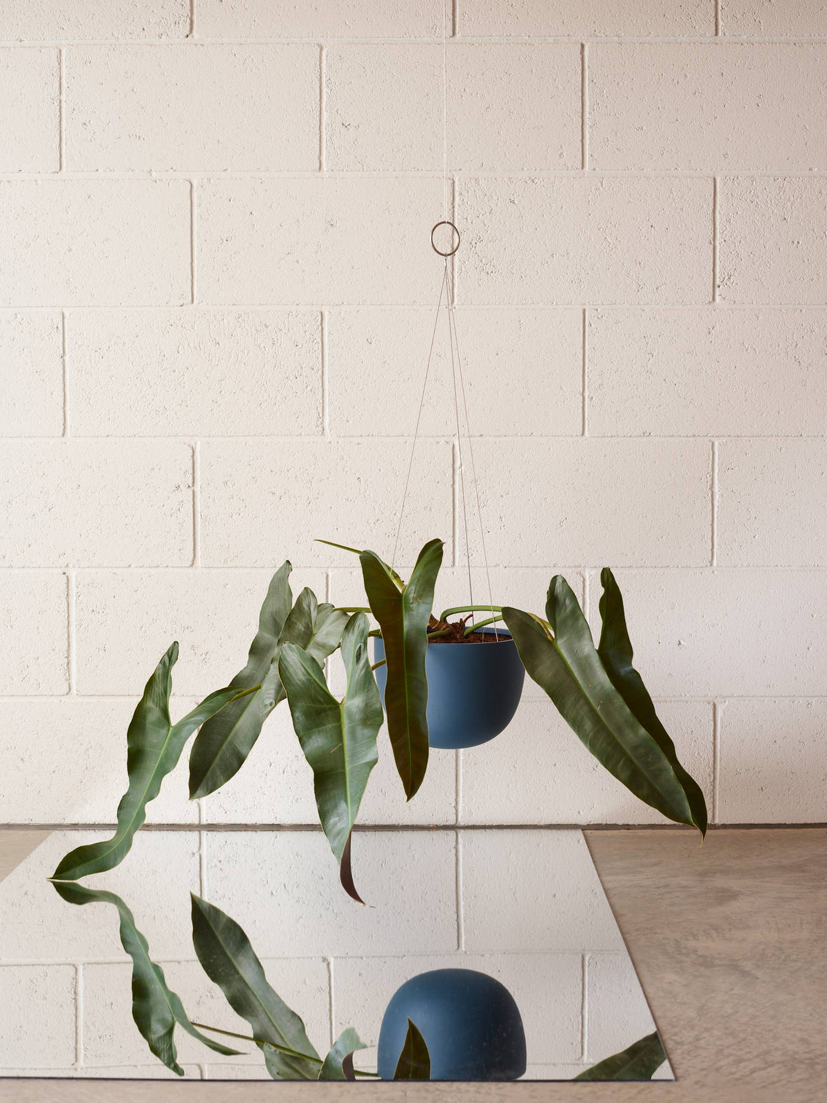 CLIFTON Hanging Plant Pot MEDIUM