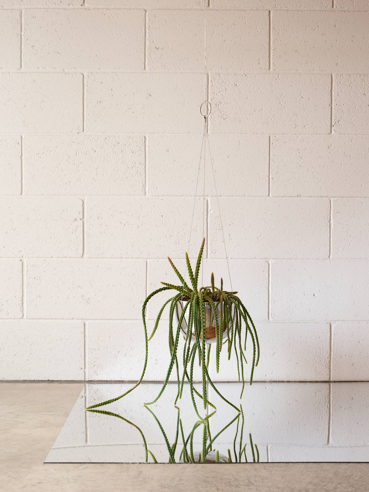 CLIFTON Hanging Plant Pot MEDIUM