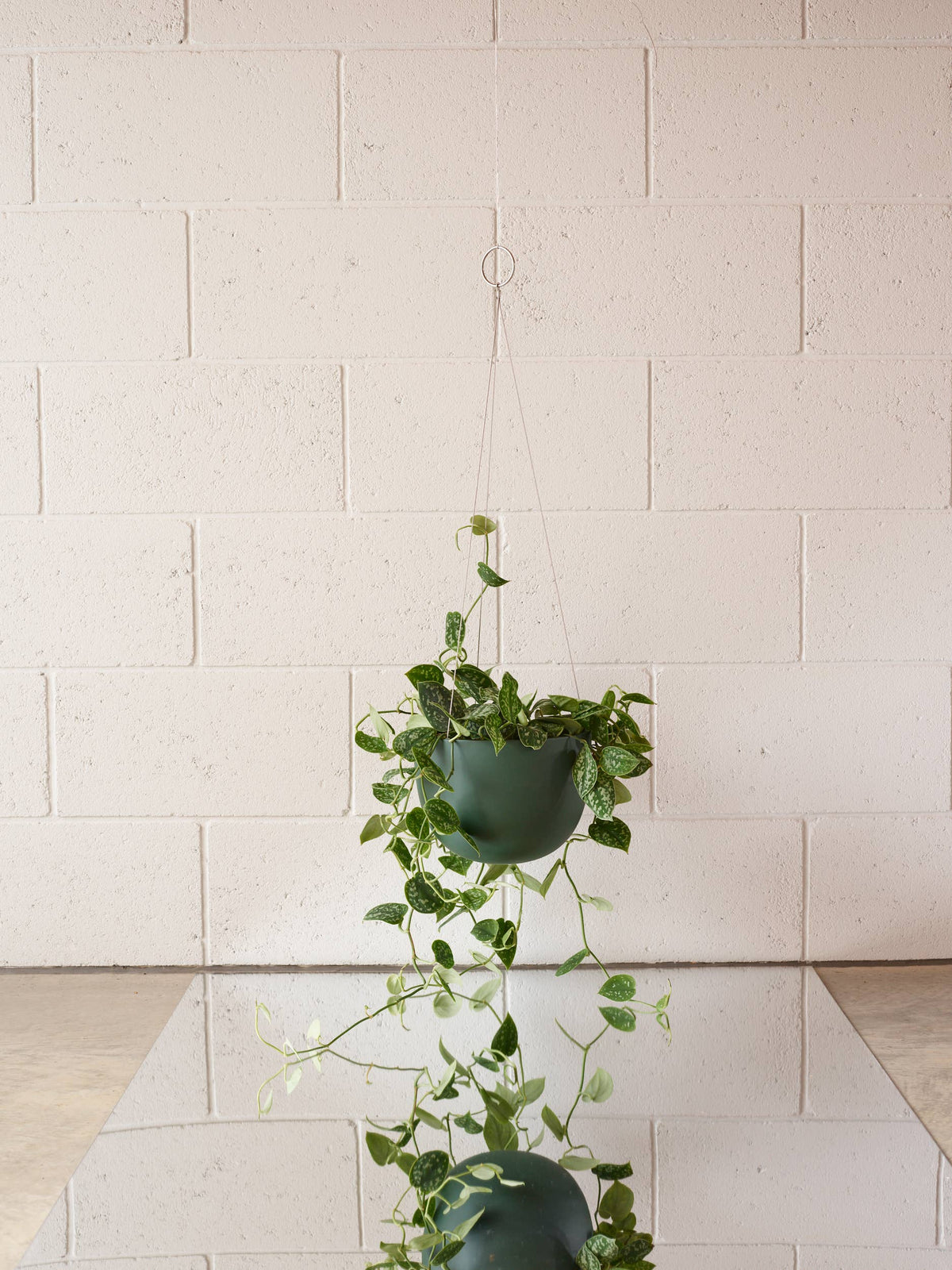 CLIFTON Hanging Plant Pot MEDIUM