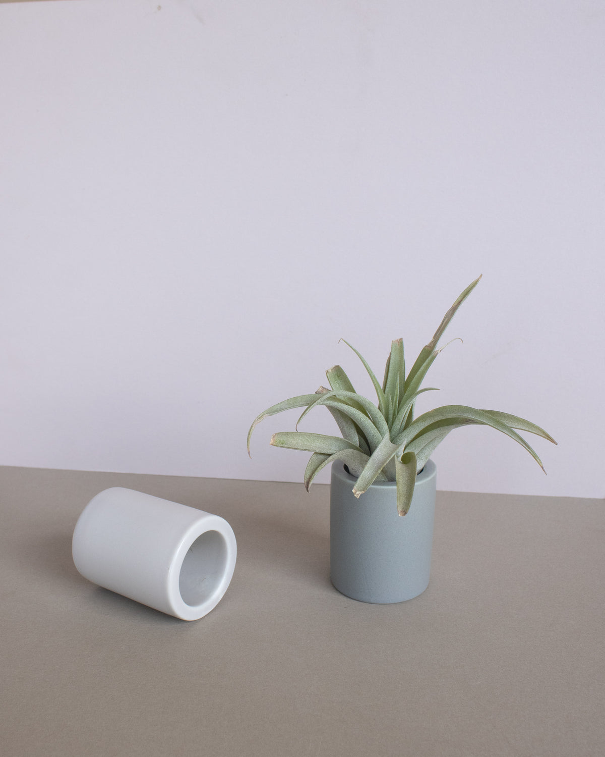 Ceramic air plant holder