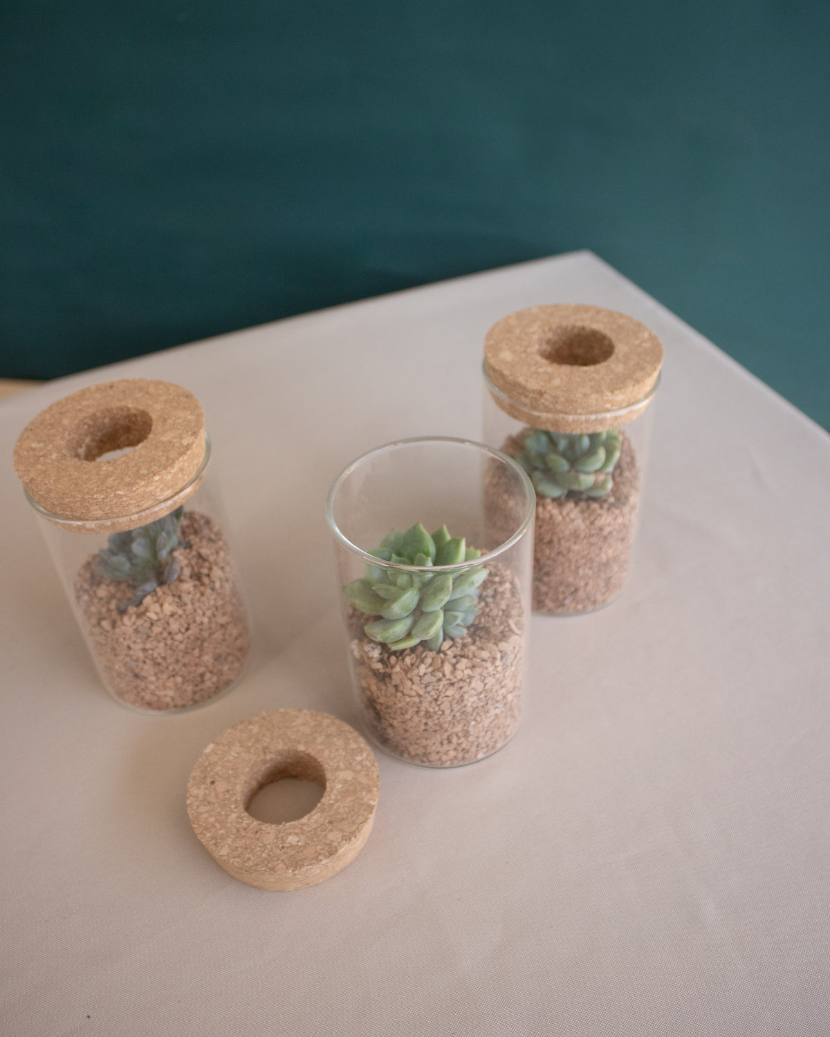 Cork Topped Mini Terrarium