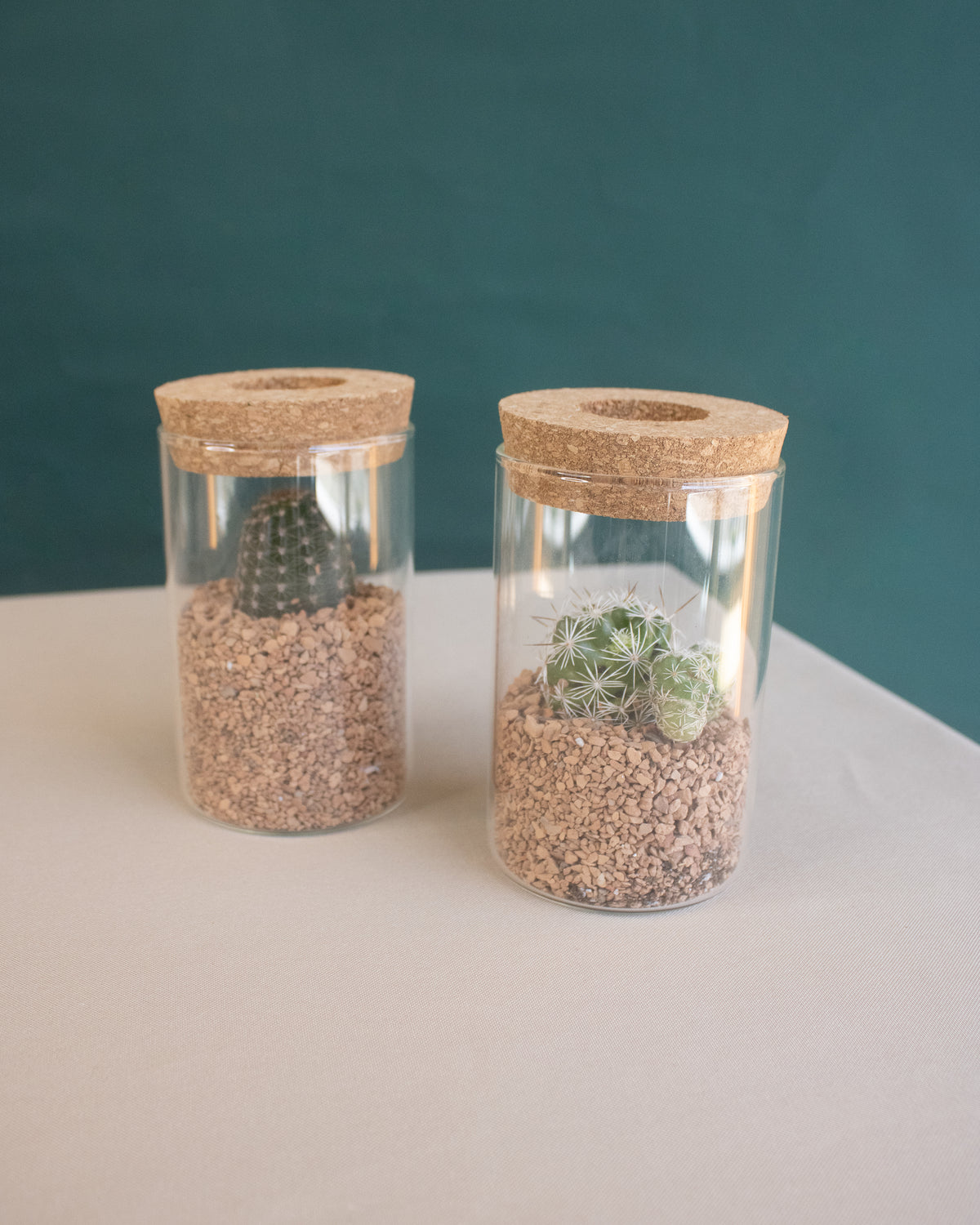 Cork Topped Mini Terrarium