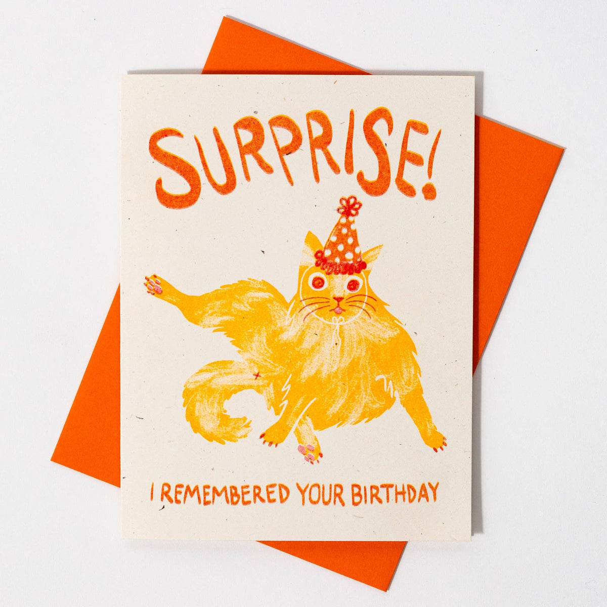 Surprise! I Remembered Your Birthday Cat - Risograph Card