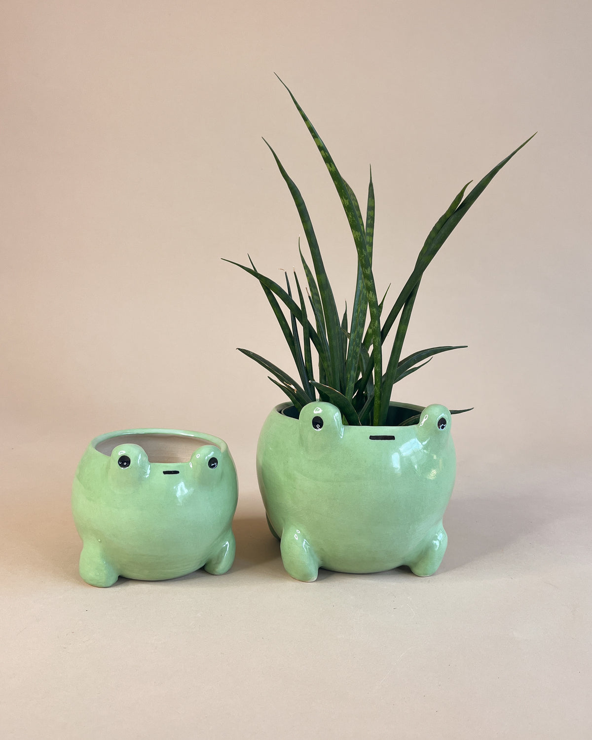 Frog Planter