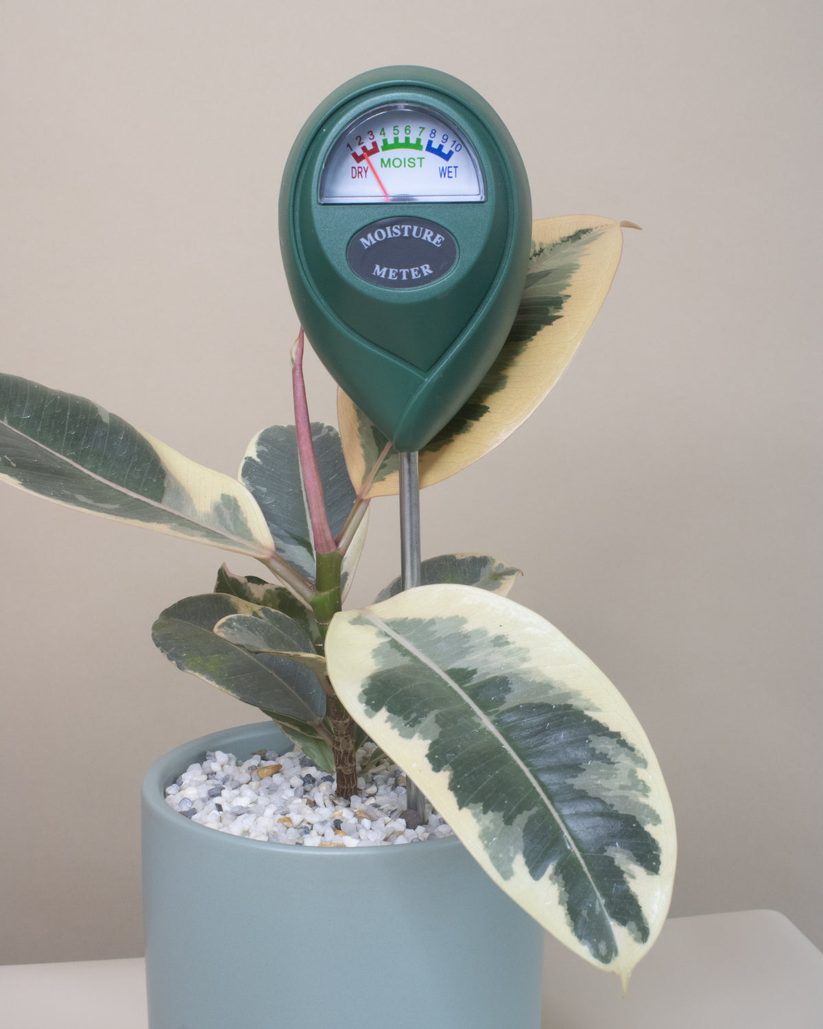 Moisture Meter