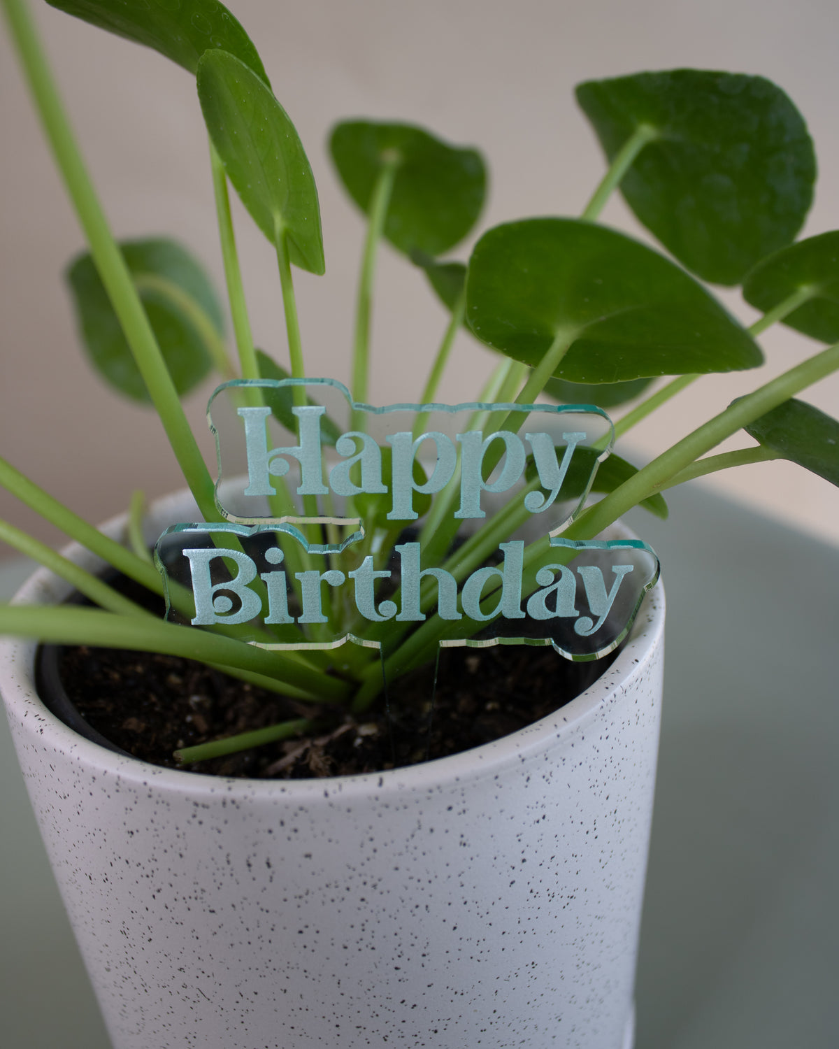 Happy Birthday Plant Stake