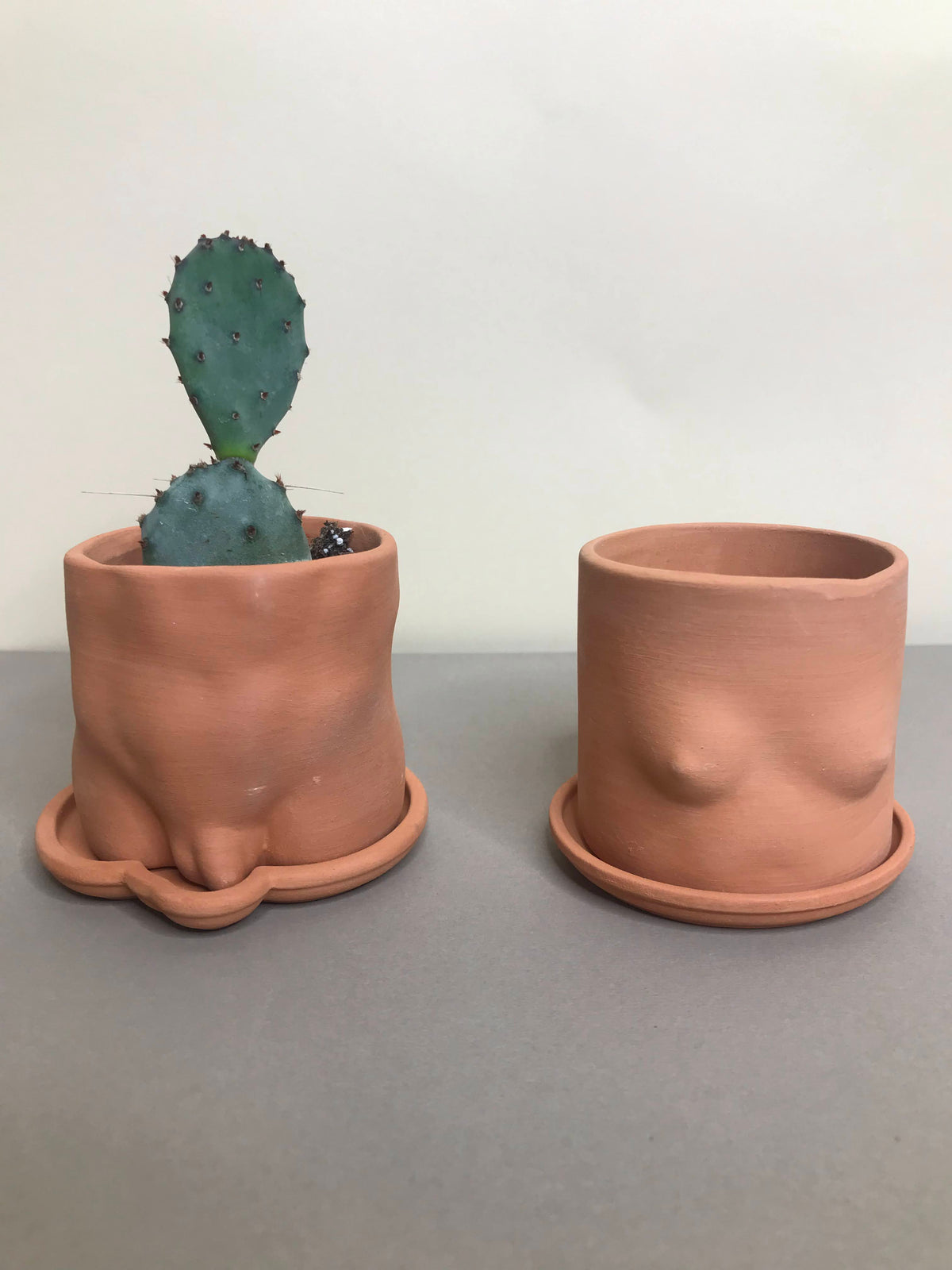 Mini Butt Pot