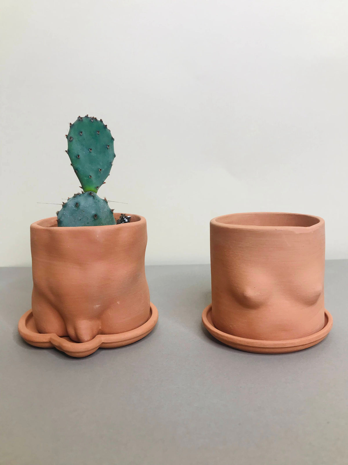 Mini Boob Pot