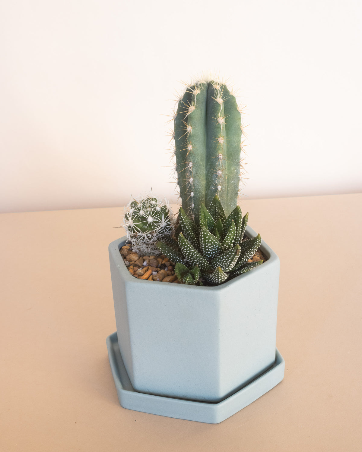 Hexi Succulent Planter