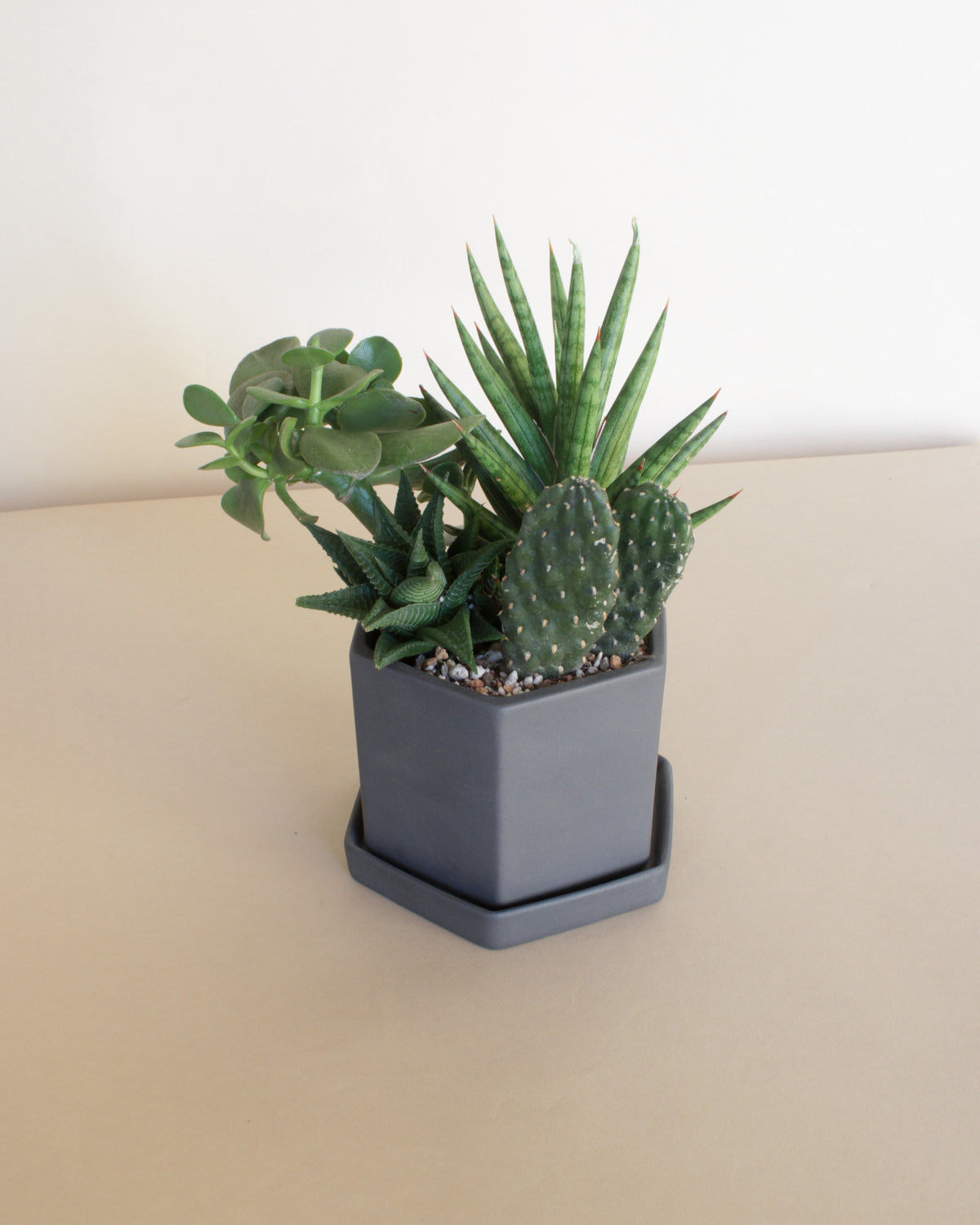 Hexi Succulent Planter