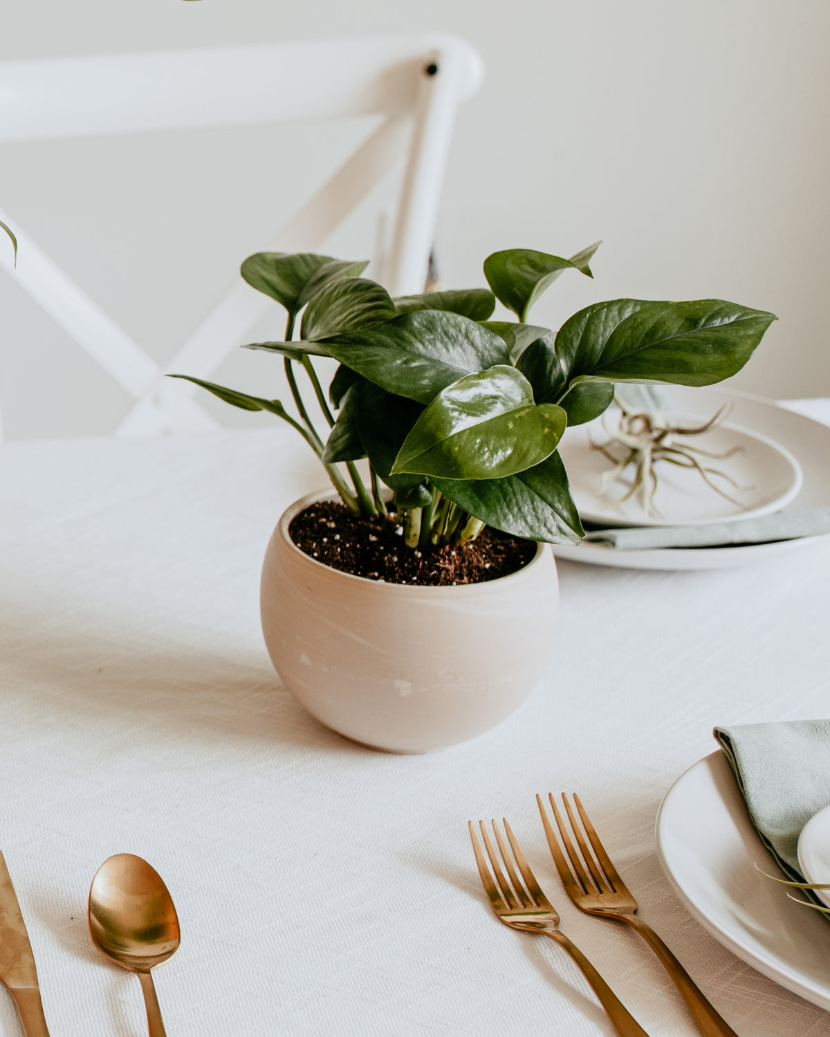 Wedding Plant Centerpiece