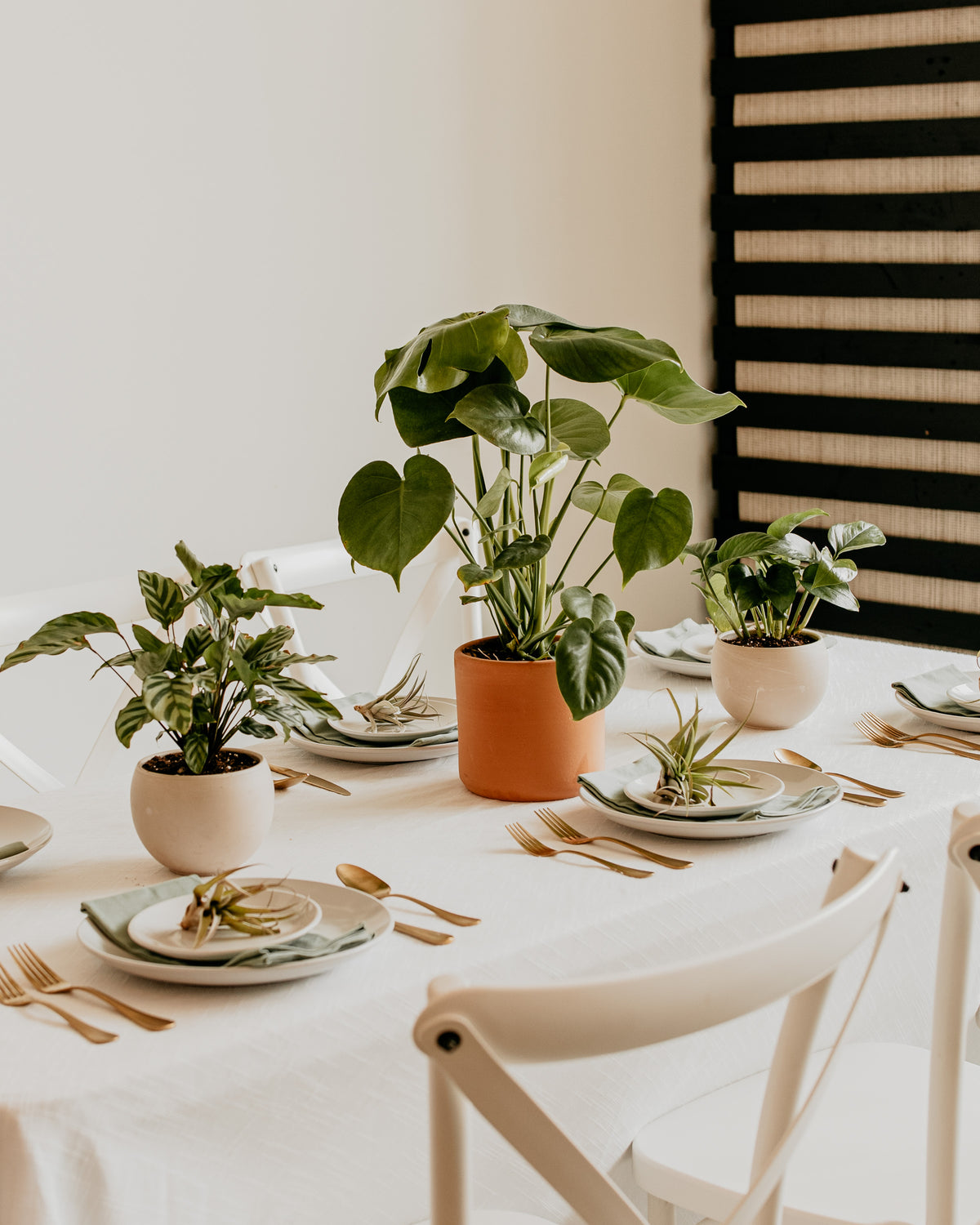 Wedding Plant Centerpiece