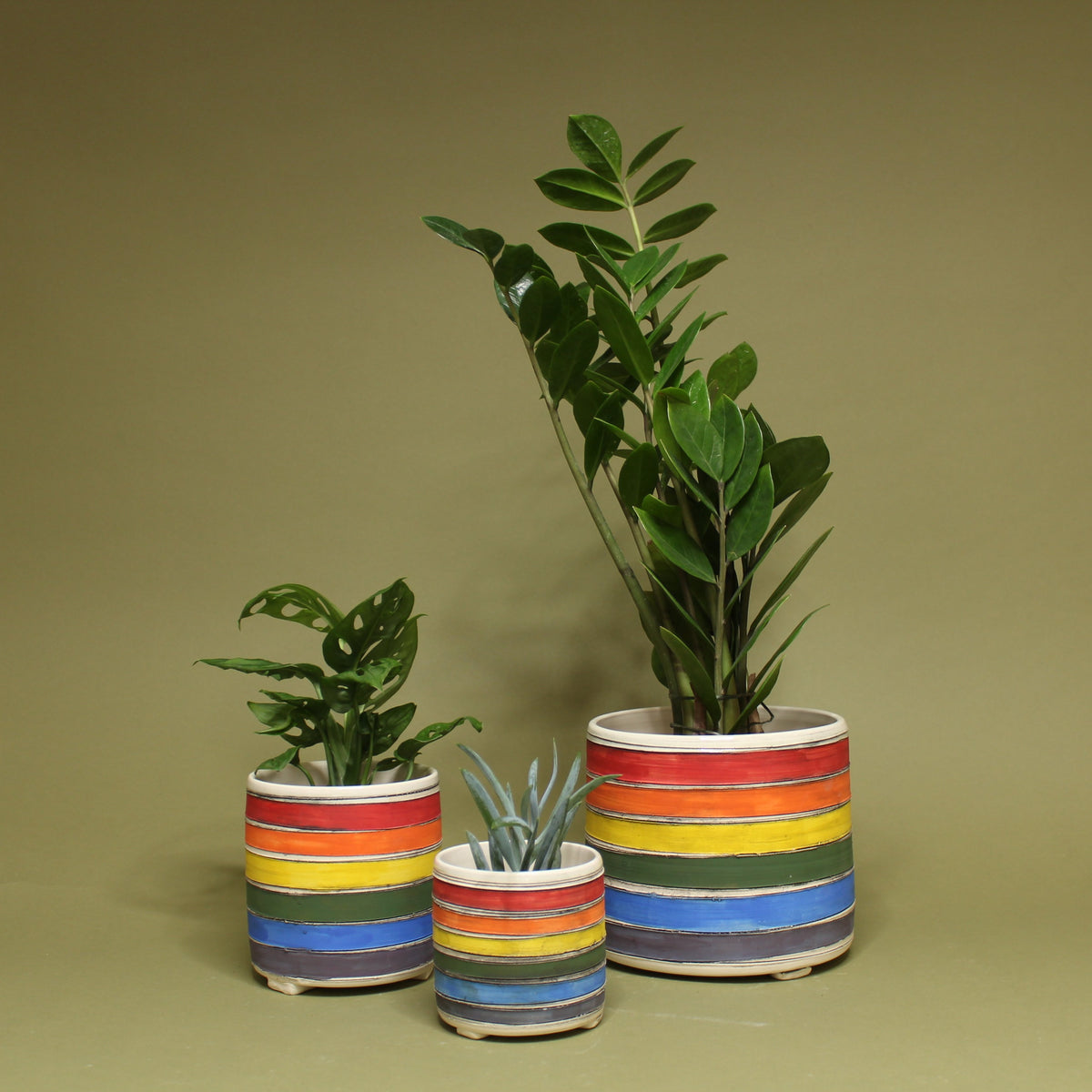 Rainbow Planter