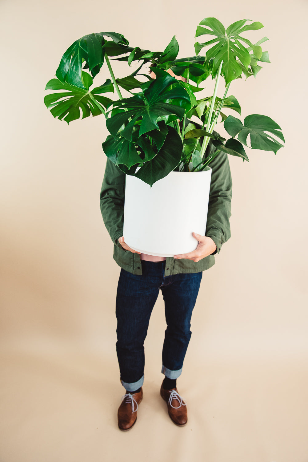 Monstera Deliciosa