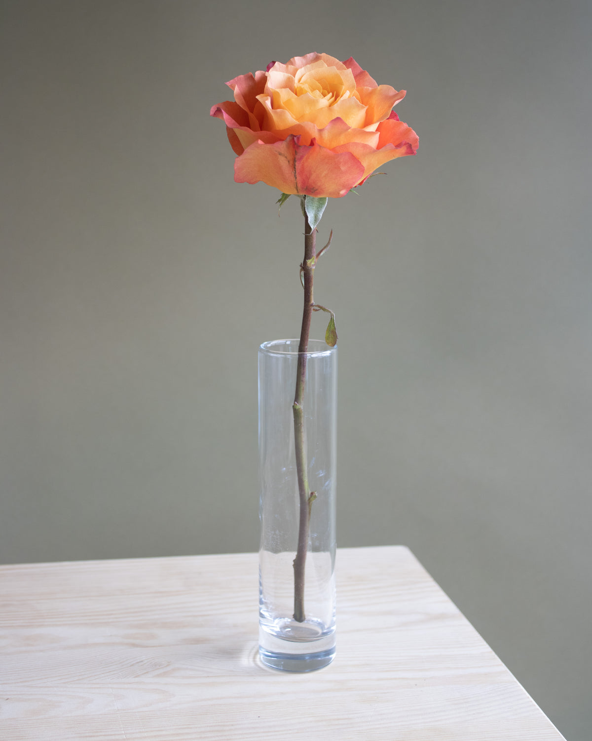 Bud Vase